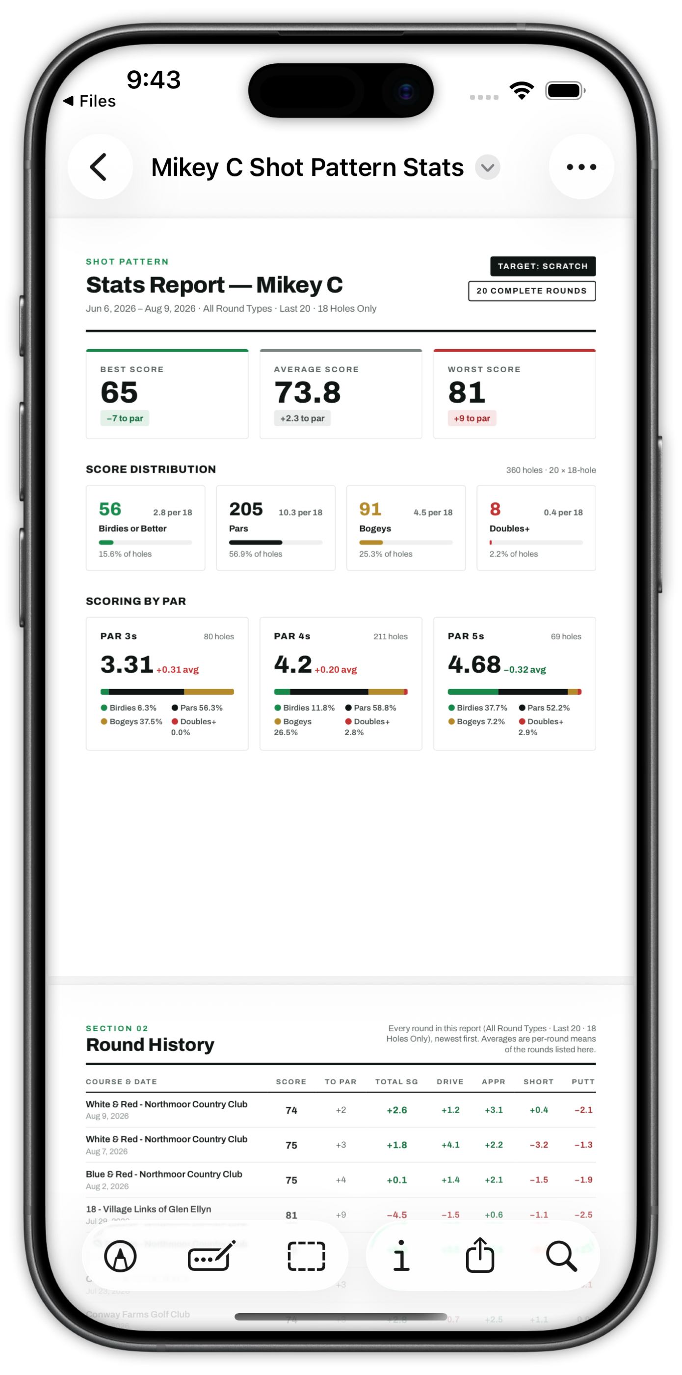 Shot Pattern Stats Report